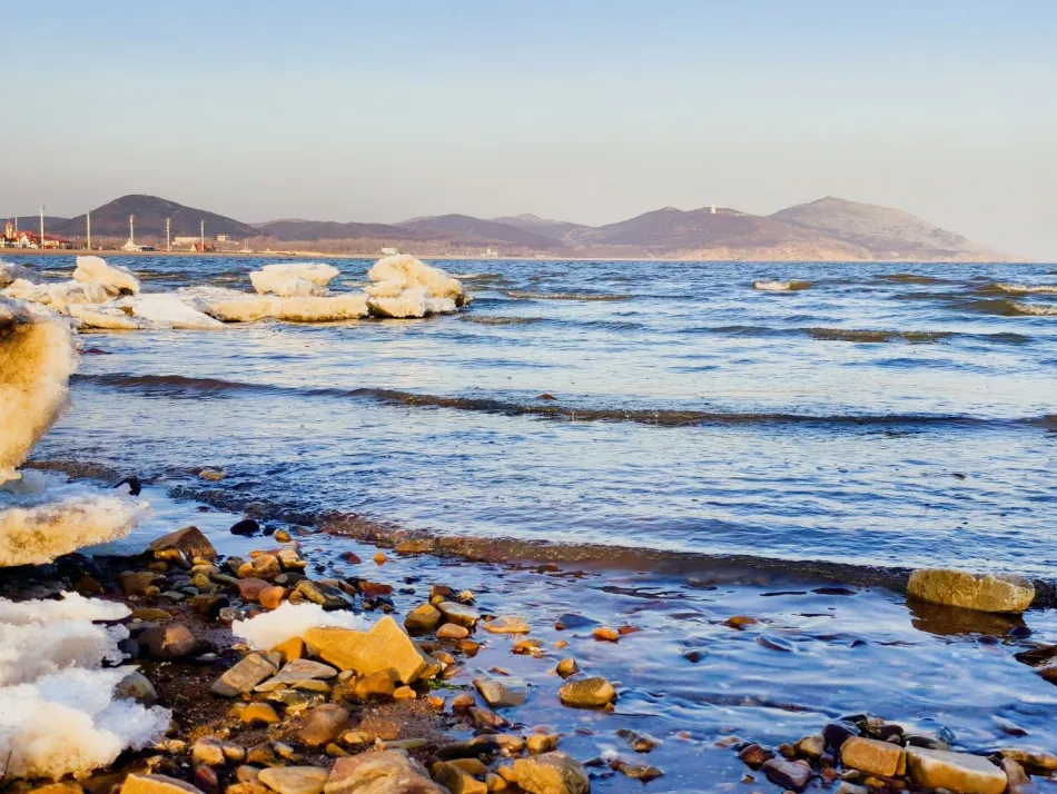 龙湾区龙湾区移动宽带